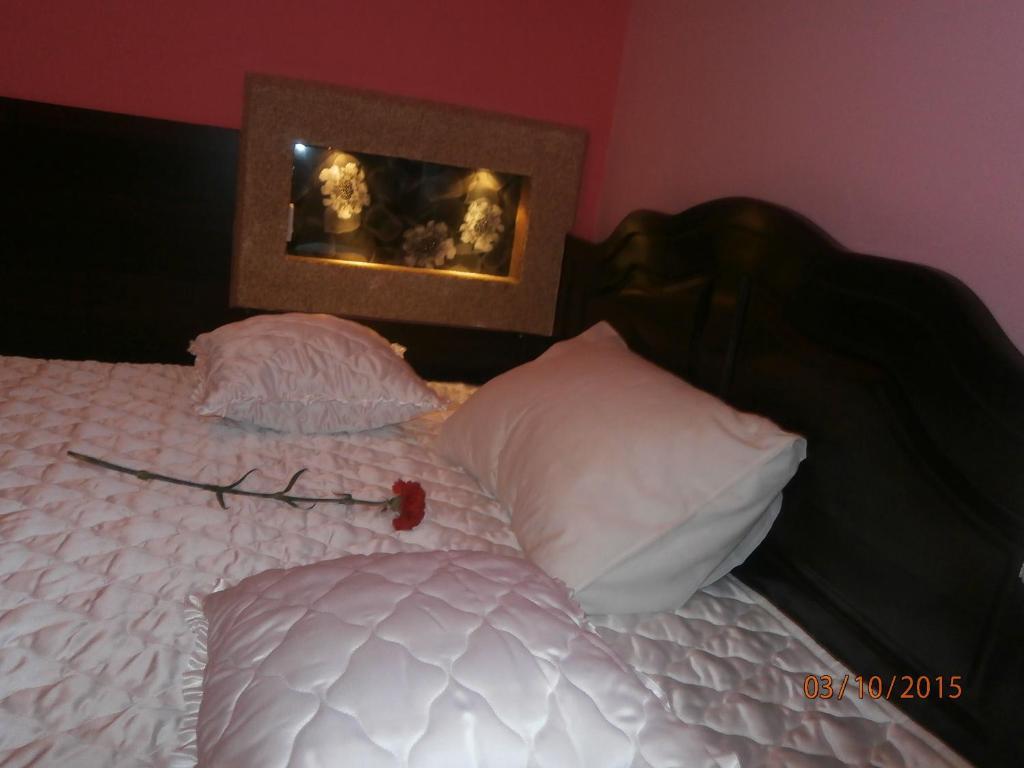 Hotel Vila Mitic Luxx Spa Centar Leskovac  Zewnętrze zdjęcie